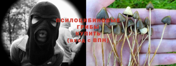 мескалин Абинск