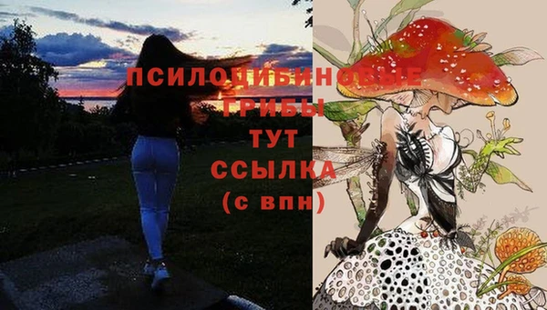 соль ск Абаза