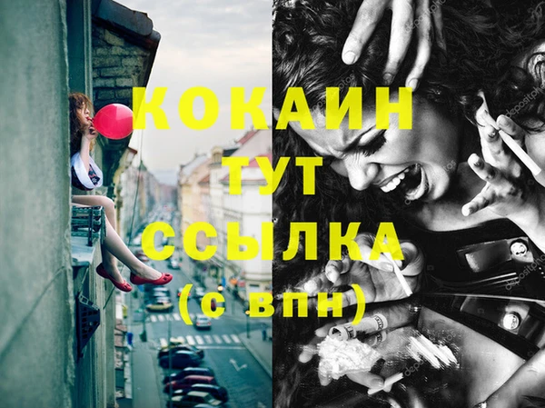 соль ск Абаза